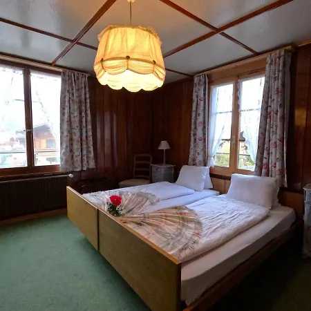 Edelweiss Lodge Wilderswil Extérieur photo
