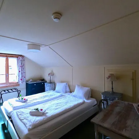 Edelweiss Lodge Wilderswil Extérieur photo