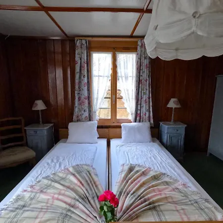 Edelweiss Lodge Wilderswil Extérieur photo