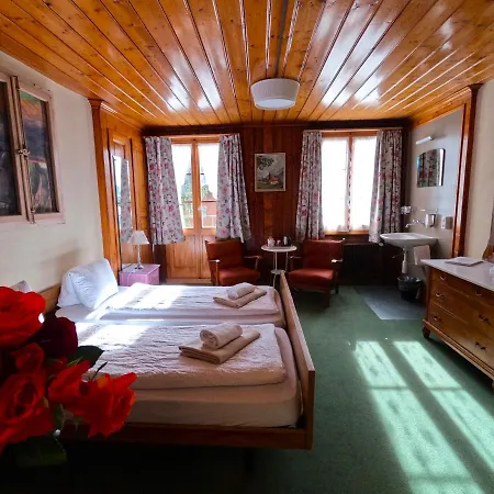 Edelweiss Lodge Wilderswil Extérieur photo