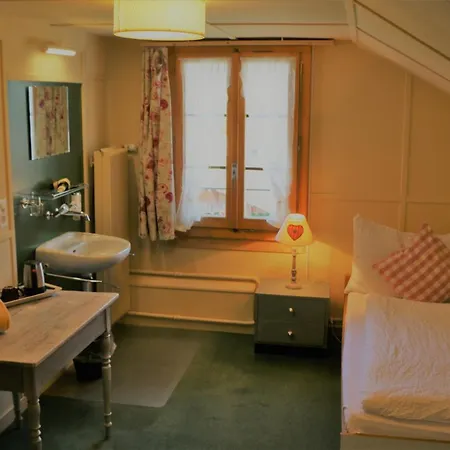 Edelweiss Lodge Wilderswil Chambre photo