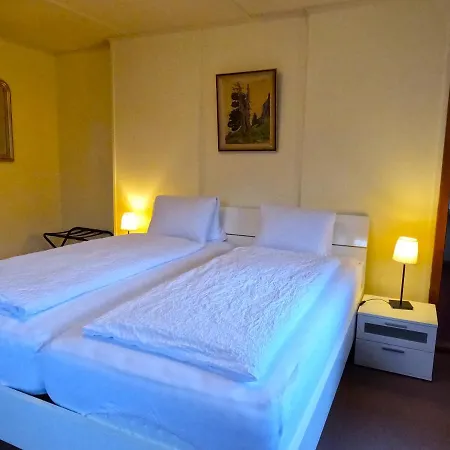 Edelweiss Lodge Wilderswil Extérieur photo
