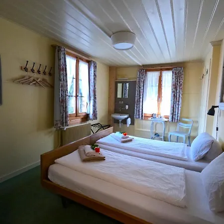 Edelweiss Lodge Wilderswil Extérieur photo