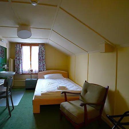 Edelweiss Lodge Wilderswil Extérieur photo