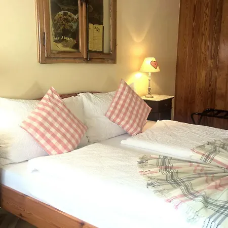 Edelweiss Lodge Wilderswil Extérieur photo
